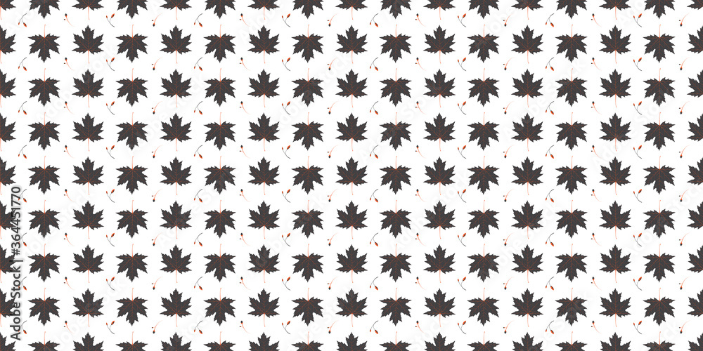 Autumn seamless pattern, Maple leaves on a white background, Abstract leaf texture.