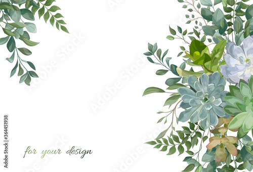 Beautiful background with Succulent flowers. Vector illustration. EPS 10.