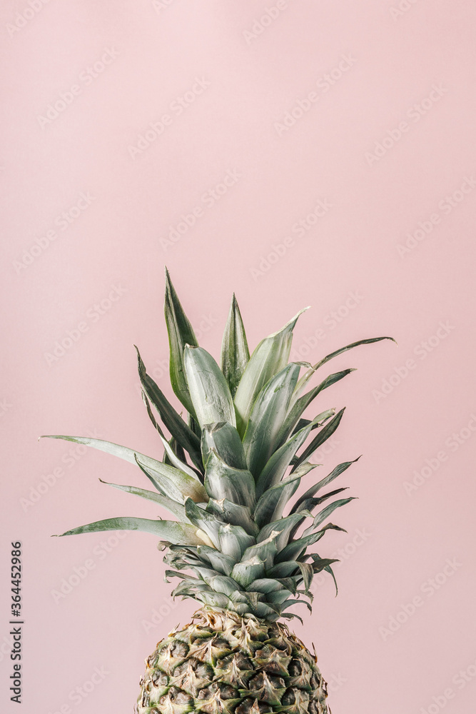 Pineapple on a pink background. Art-photo. Pineapple on a pink background. Art-photo.