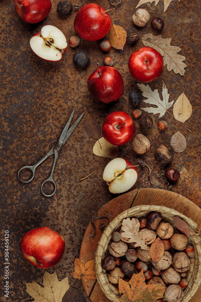 Autumn still life with red apples and nuts on an old iron background. The view from the top.
