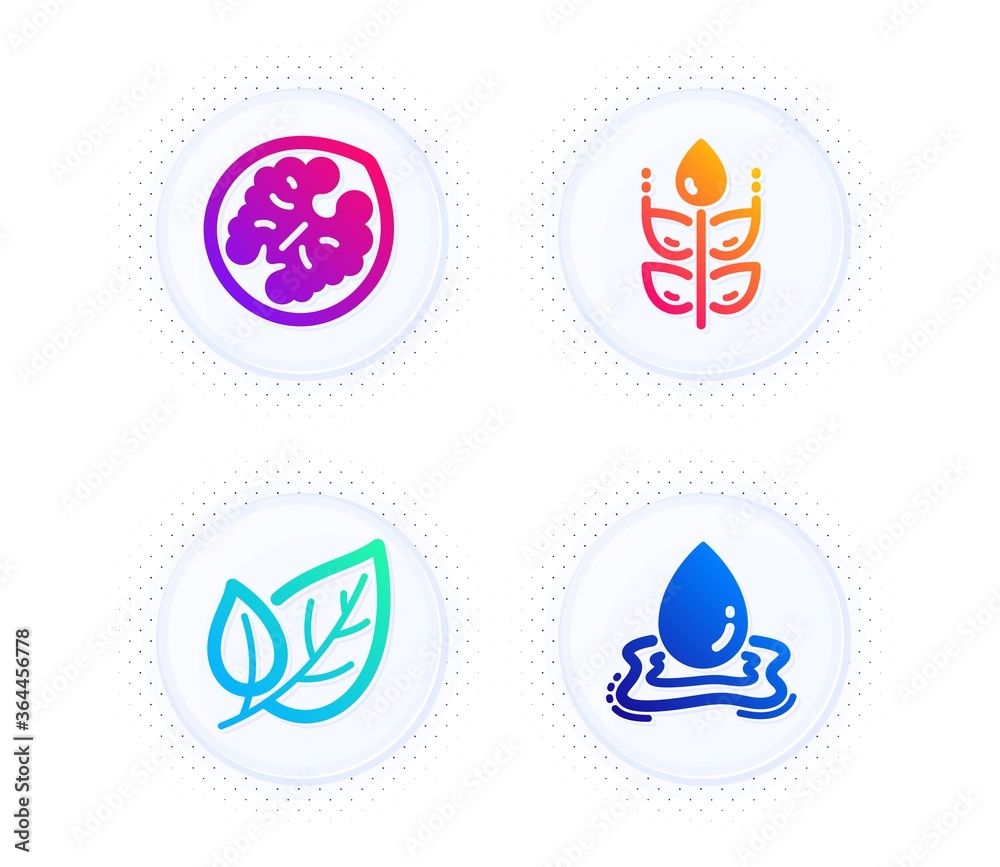 Gluten free, Leaf and Walnut icons simple set. Button with halftone dots. Water splash sign. Bio ingredients, Ecology, Vegetarian food. Aqua drop. Nature set. Gradient flat gluten free icon. Vector Gluten free, Leaf and Walnut icons simple set. Button with halftone dots. Water splash sign. Bio ingredients, Ecology, Vegetarian food. Aqua drop. Nature set. Gradient flat gluten free icon. Vector