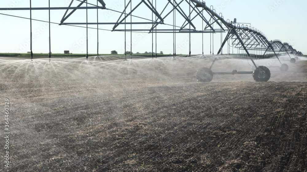 Cultivated field with irrigation system for water supply, sprinklers splashing water to cultivated land