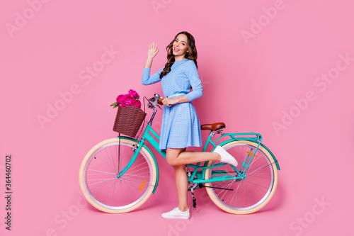 Full length body size profile side view of her she attractive lovely cheerful cheery wavy-haired lady gardener walking bike floristry shop delivery waving hi isolated pink pastel color background © deagreez