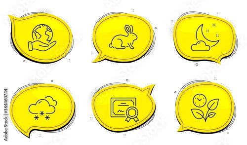 Night weather sign. Diploma certificate, save planet chat bubbles. Leaves, Snow weather and Animal tested line icons set. Grow plant, Snowflake, Bio product. Sleep. Nature set. Vector