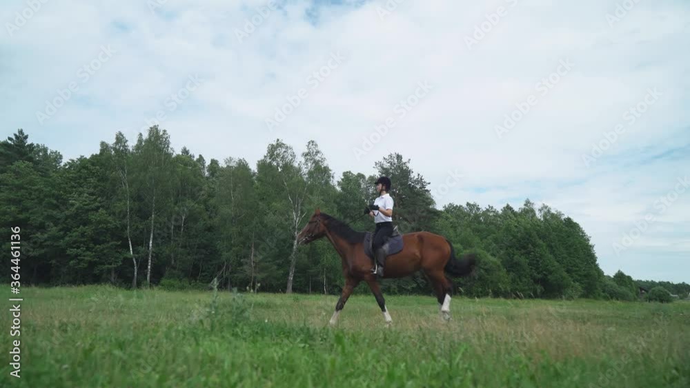 Woman rider on horseback riding in a clearing near the forest, horse walking along a forest path, horsewoman ride on a horse, back view. Woman rider on horseback riding in a clearing near the forest, horse walking along a forest path, horsewoman ride on a horse, back view.
