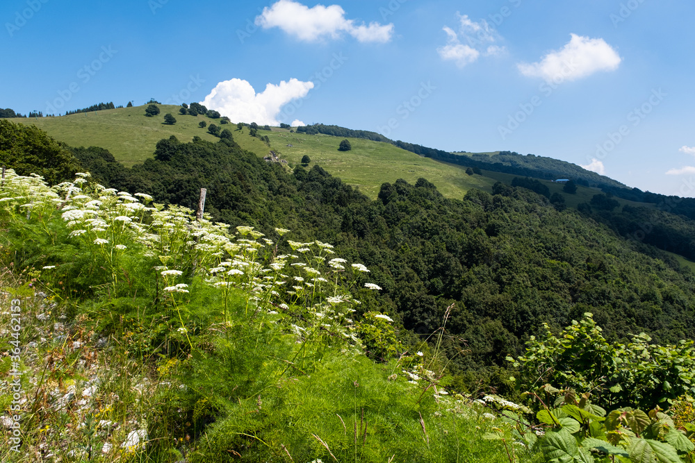 Paesaggio di montagna vicino Brentonico