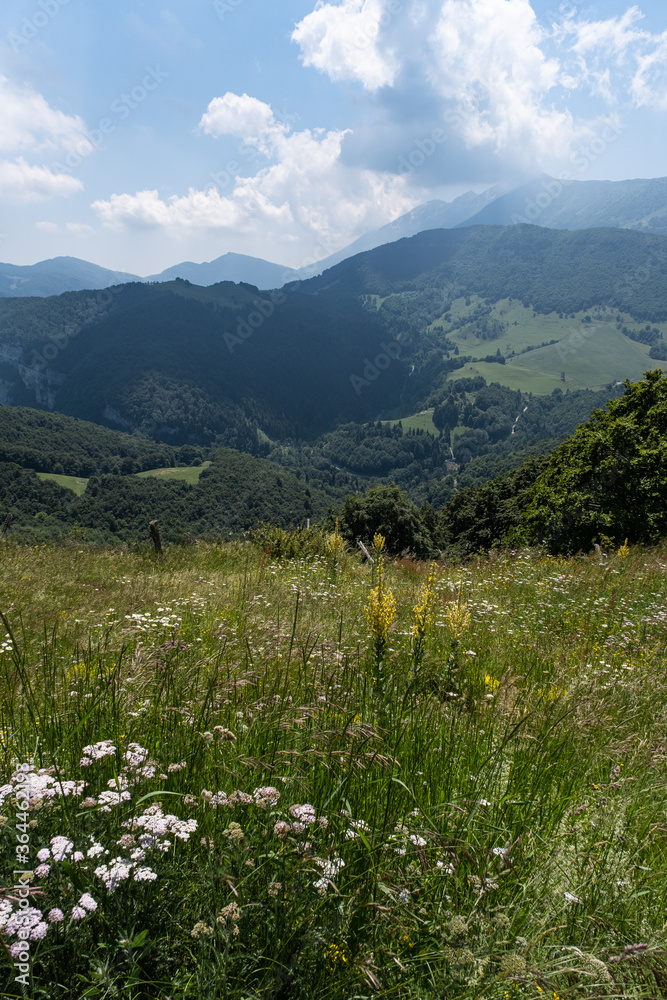 Paesaggio di montagna vicino Brentonico