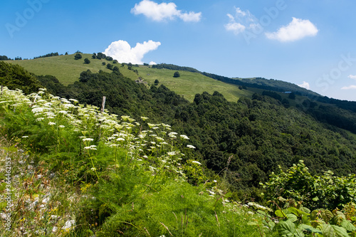 Obraz na płótnie Paesaggio di montagna vicino Brentonico w salonie