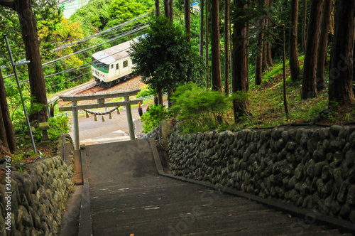 伊豆の神社　A mysterious shrine in nature photo