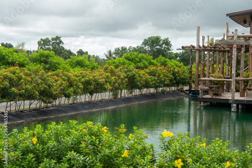 Water is surrounded by yellow and red flowers, with wooden relaxing seats.summer park