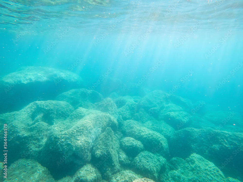 Fototapeta premium Green rocks underwater in Alghero shore