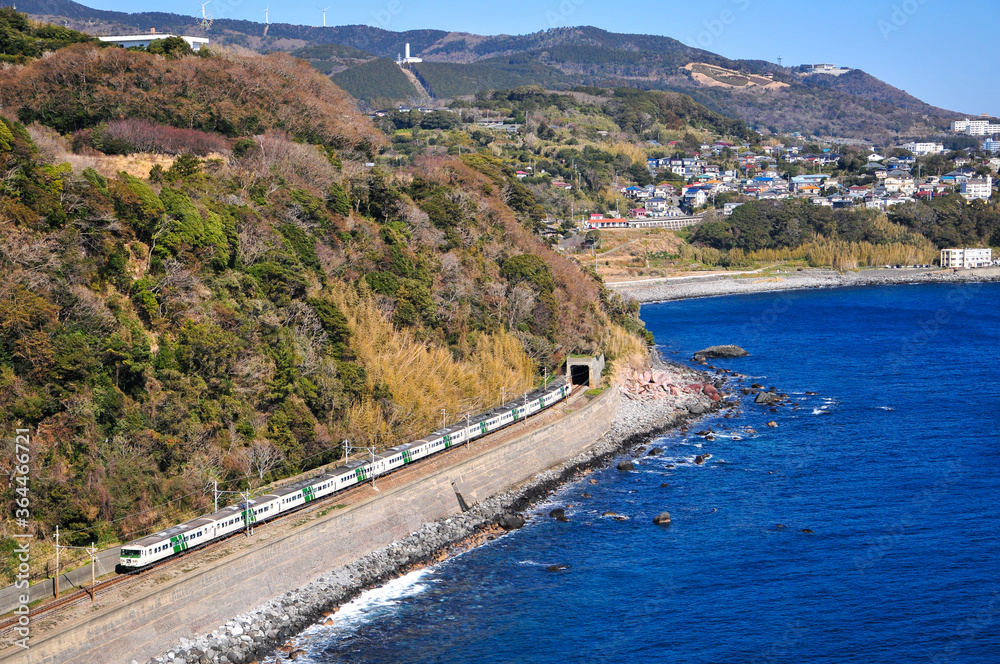 伊豆の列車　Train traveling in beautiful scenery