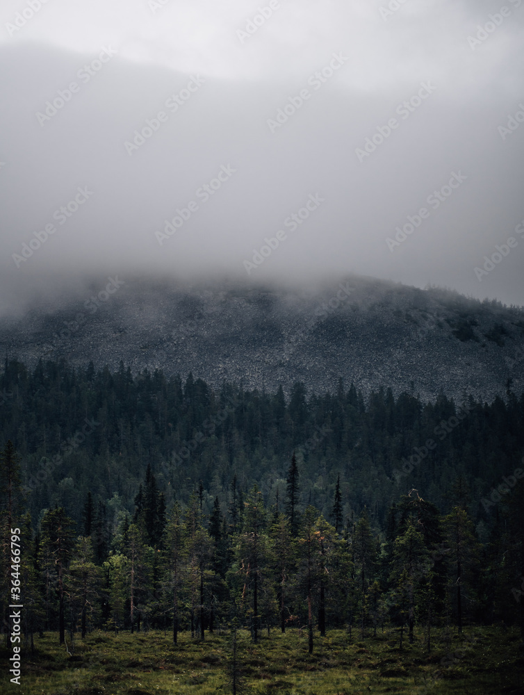 misty morning in the mountains of lapland