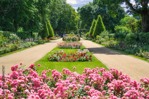 Im Forster Rosengarten