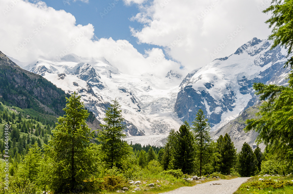 Obraz premium Morteratsch, Morteratschgletscher, Gletscher, Gletscherpfad, Gletscherweg, Piz Bernina, Bellavista, Bernina, Berninatal, Berninapass, Engadin, Alpen, Graubünden, Sommer, Schweiz