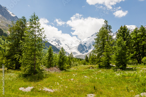 Morteratsch, Morteratschgletscher, Gletscher, Gletscherpfad, Gletscherweg,  Piz Bernina, Bellavista,  Bernina, Berninatal, Berninapass, Engadin, Bergwiese, Alpen, Graubünden, Sommer, Schweiz photo