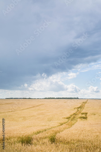 Clouds over the agricultural field