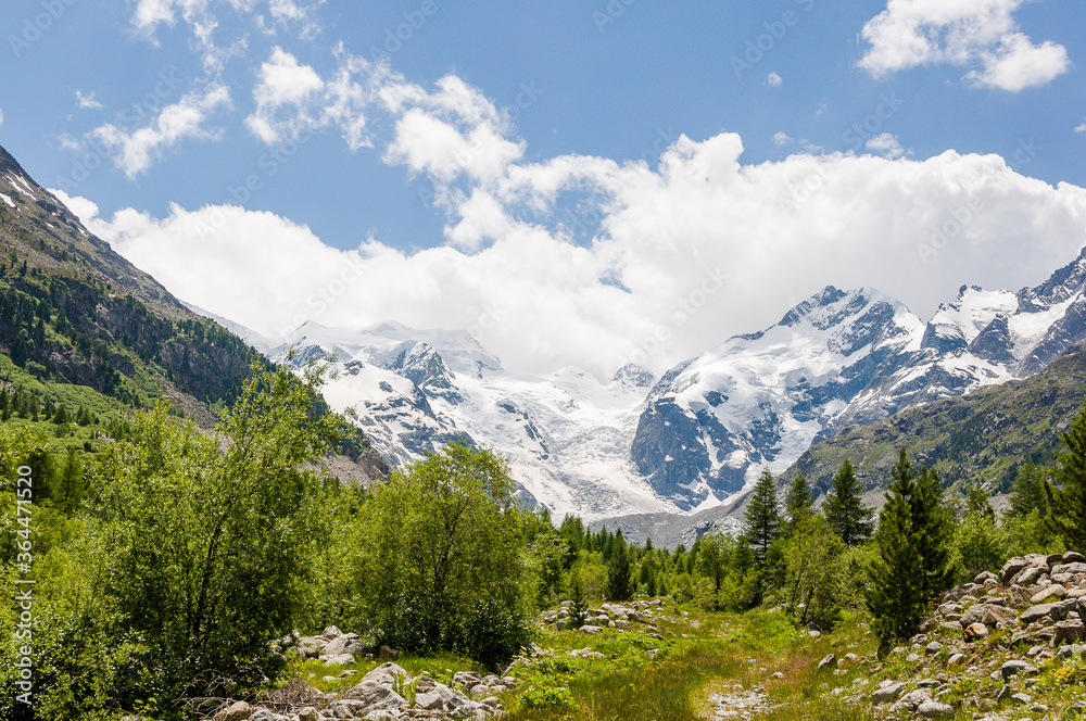 Fototapeta premium Morteratsch, Morteratschgletscher, Gletscher, Gletscherpfad, Gletscherpfad, Piz Bernina, Bellavista, Bernina, Berninatal, Berninapass, Engadin, Alpen, Graubünden, Sommer, Schweiz