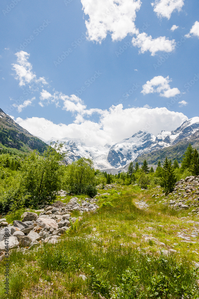 Morteratsch, Morteratschgletscher, Gletscher, Gletscherpfad, Gletscherweg, Piz Bernina, Bellavista, Bernina, Berninatal, Berninapass, Engadin, Alpen, Graubünden, Sommer, Schweiz Morteratsch, Morteratschgletscher, Gletscher, Gletscherpfad, Gletscherweg, Piz Bernina, Bellavista, Bernina, Berninatal, Berninapass, Engadin, Alpen, Graubünden, Sommer, Schweiz