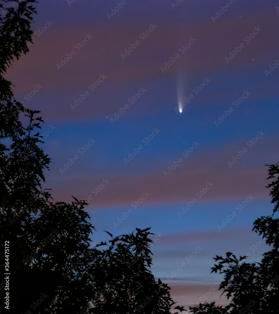 Comet Neowise Comet Neowise