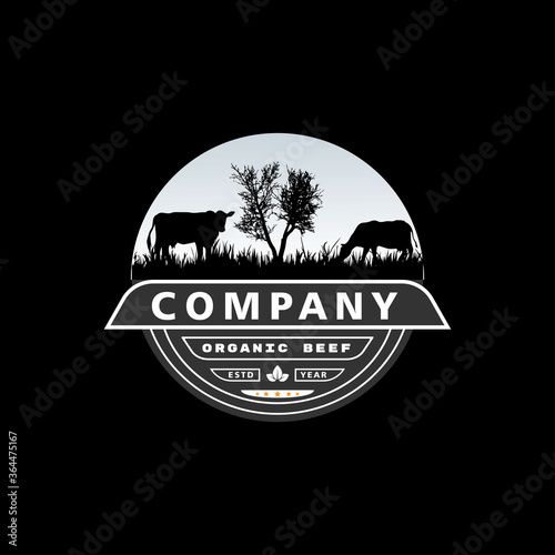 Retro Vintage Cattle Angus Livestock Beef Emblem Label logo design vector