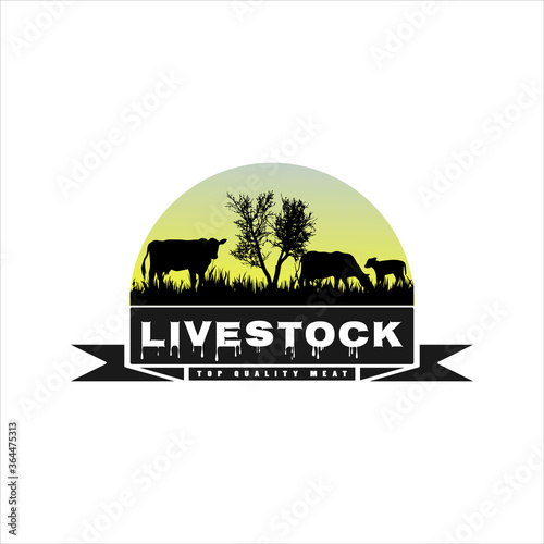 Retro Vintage Cattle Angus Livestock Beef Emblem Label logo design vector