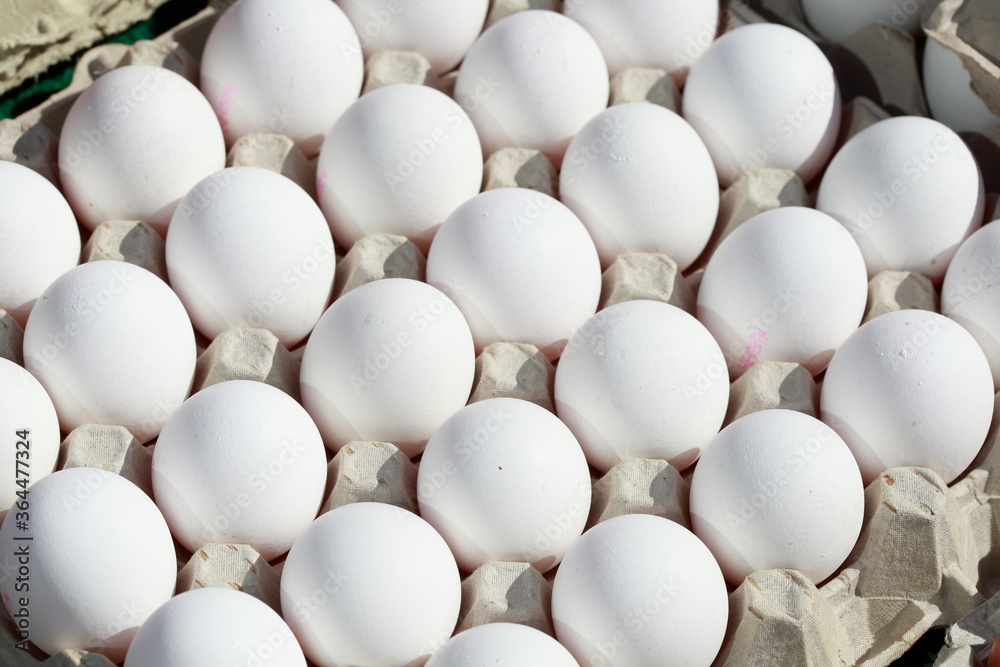 Frische weisse Eier in Schalen auf einem Marktstand, Deutschland