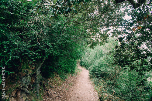 Old Path on the side of a Mountain at Montserrat, Spain