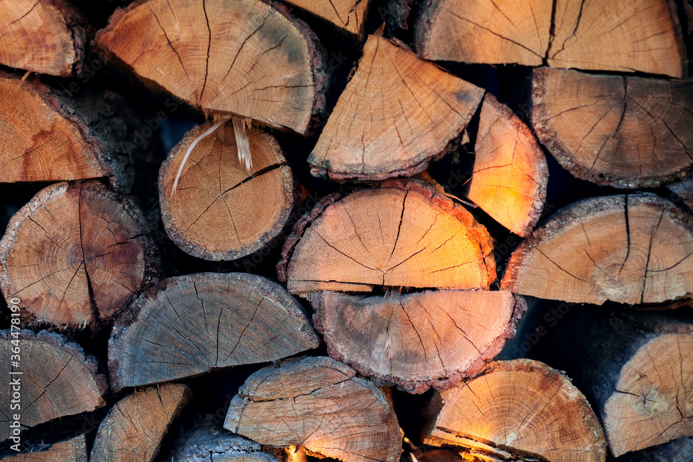 Fototapeta premium Firewood in logs, large and small chopped branches. for the bath and fireplace. Natural fuel for the fireplace and heating the house, barbecue, cooking barbecue and meat on the grill