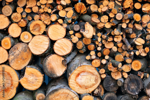 Firewood in logs  large and small chopped branches. for the bath and fireplace. Natural fuel for the fireplace and heating the house  barbecue  cooking barbecue and meat on the grill