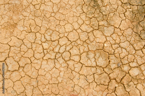 Pattern details of cracked earth skin in dry season
