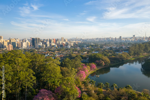 Fotos aéreas de parques em São Paulo, contraste da Natureza e o asfalto