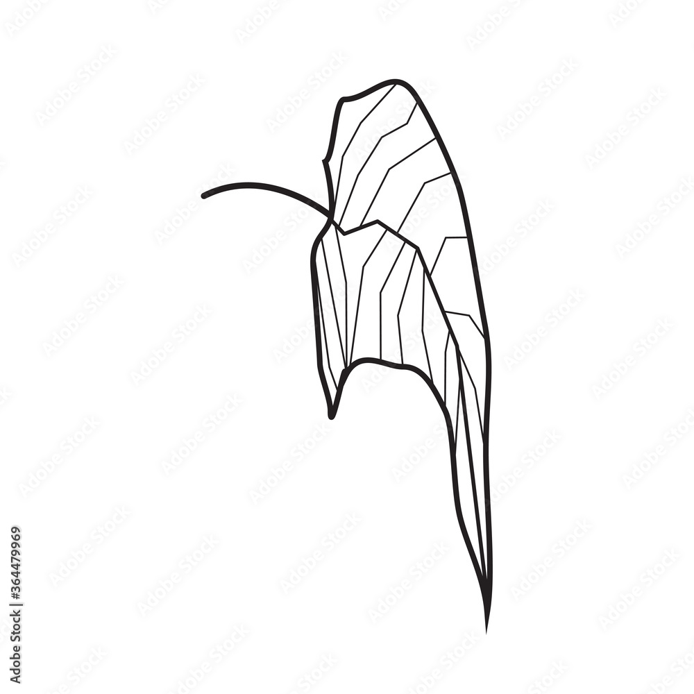 leaf icon design flat trendy style collection leaf icon design flat trendy style collection