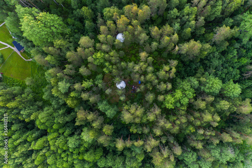 Aerial view of the forest of Karelia © alexkazachok