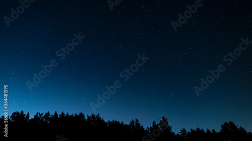 The starry night sky above the silhouette of the forest. The Andromeda Galaxy, the constellations of Giraffe, Cassiopeia.