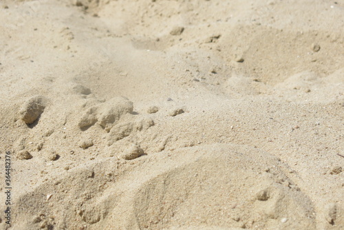 dunes de sable