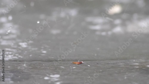 Slow motion speed close up scene on raindrop fall against and bounce on floor, flood from rainstrom in bad rainy day, natural pattern of pouring rain bumping on ground, grainy texture of water photo