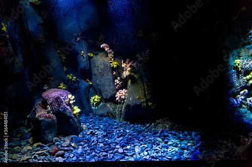 Lisboa Lisbon  aquarium , Oceanário de Lisboa