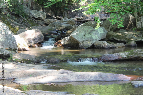 stream in the forest