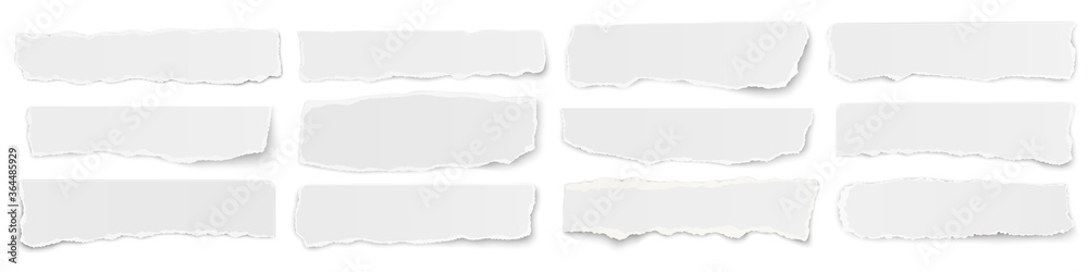 A long horizontal set of torn long pieces of paper isolated on a white background. - obrazy, fototapety, plakaty 