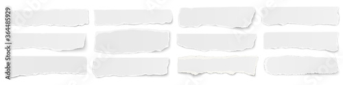 A long horizontal set of torn long pieces of paper isolated on a white background.
