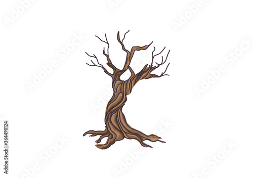 dry tree vector illustration