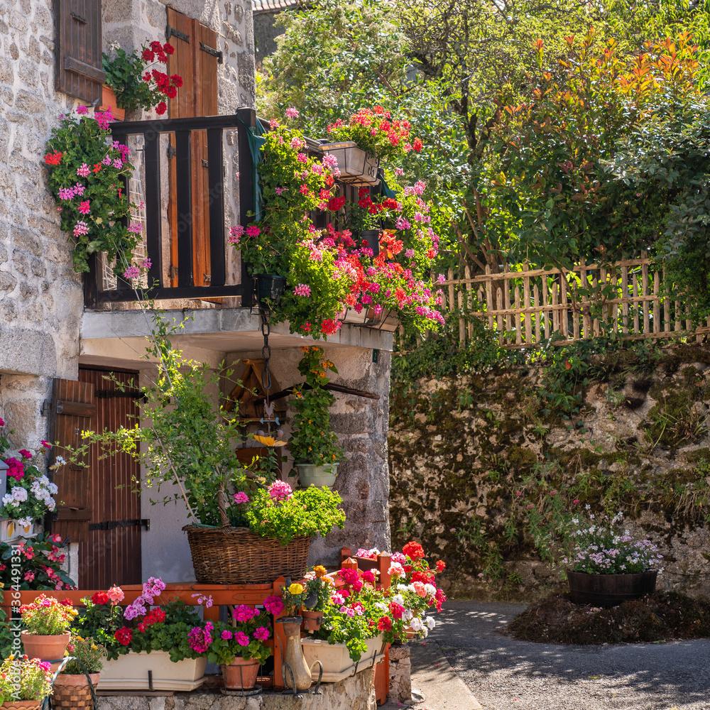 Naklejka premium Fragment zewnętrzny starego domu z wieloma kwiatami w Montrol Senard, region Limousin, Francja. Selektywne skupienie się na domu. (1x1)