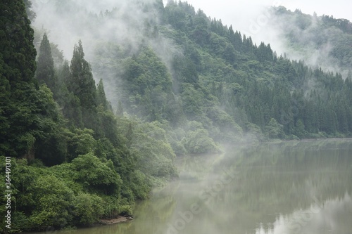 山, 風景, 森, 当惑, 自然, 雲, 山, たき, 水, 木, 木, かすみ, 空, 雲, 緑, 川, 低地, ヒル, 旅行, モーニング, サマータイム, 景色, 公園, 湖, 景色