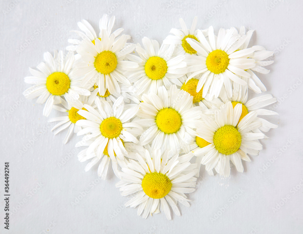 Fototapeta premium Heart of fragrant daisies on a gray acrylic background