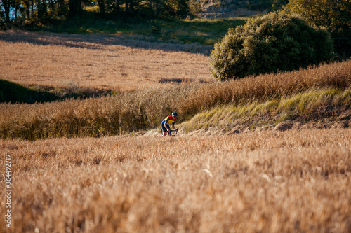 Professional biker pedaling between wheat fields