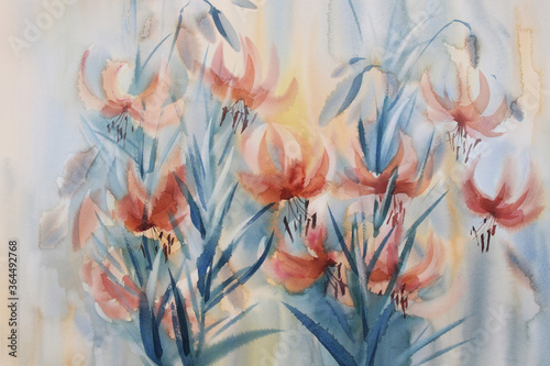 Orange lily flowering in the garden watercolor background