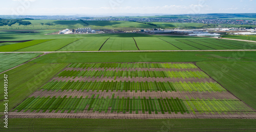 Agriculture. Large agricultural complex. Agricultural production. Fields of test planting of crops. Tractor. Aerial view. Countryside. Grain storage.