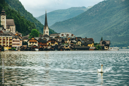 Wallpaper Mural white swan swimming by lake hallstatt town at background Torontodigital.ca