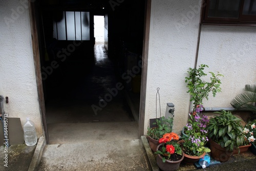 家, とびら, まど, 古い, 建築, 壁, くつろいで, ビル, 通り, 花, エントランス, 花, 植える, あばたのある, 外側, 庭,  まど, むら, 緑, フロント, 旅行, 赤, ビンテージ